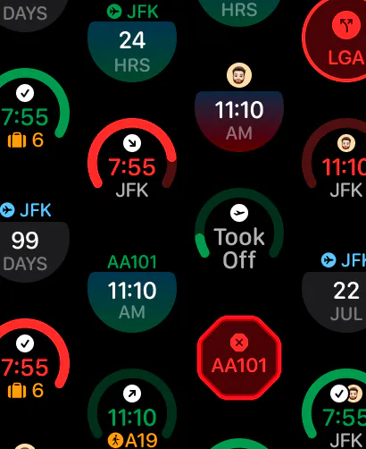 Flighty on Apple Watch