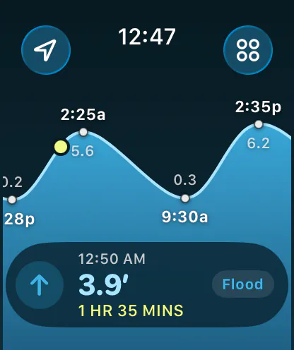 Tide Alert on Apple Watch