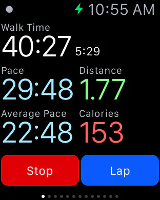 Walkmeter on Apple Watch