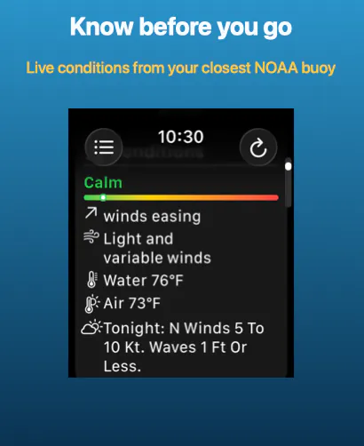 Buoycast on Apple Watch